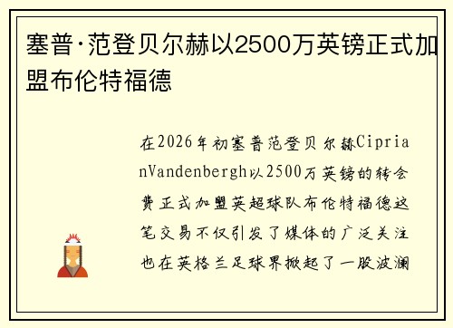 塞普·范登贝尔赫以2500万英镑正式加盟布伦特福德 塞普·范登贝尔赫以2500万英镑正式加盟布伦特福德